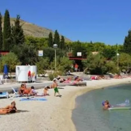 Zar Seget Vranjica